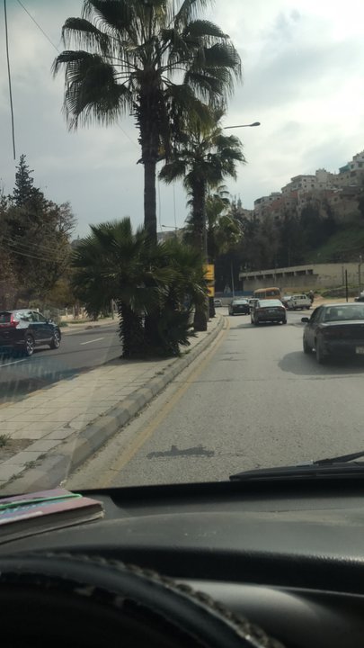 مشاركاتي في أنت الراصد