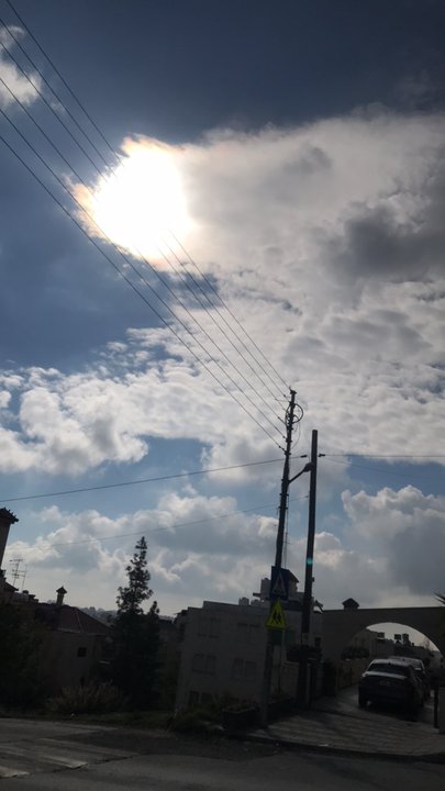 مشاركاتي في أنت الراصد