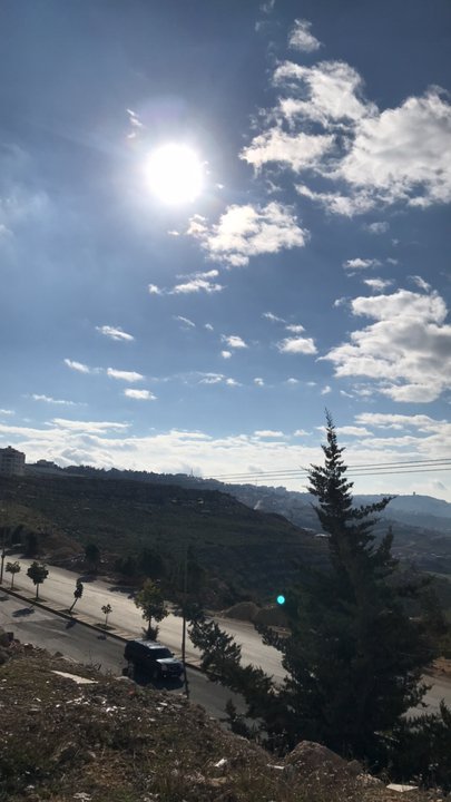 مشاركاتي في أنت الراصد