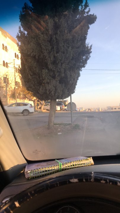 مشاركاتي في أنت الراصد