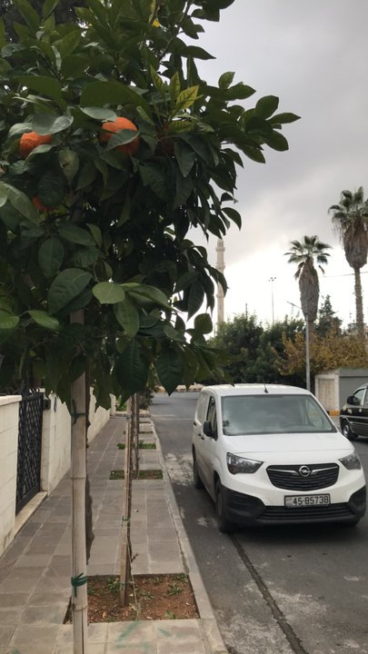 مشاركاتي في أنت الراصد