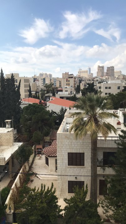 مشاركاتي في أنت الراصد