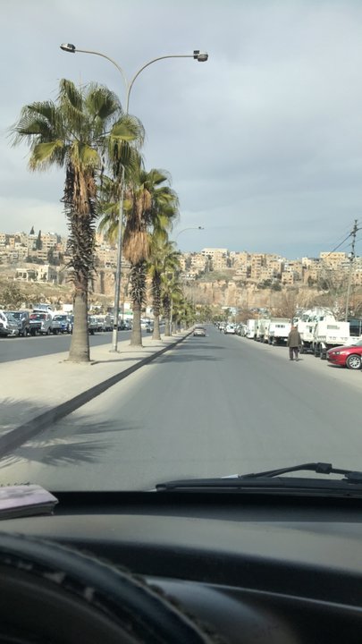 مشاركاتي في أنت الراصد