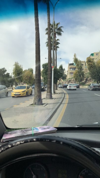 مشاركاتي في أنت الراصد