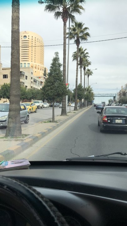 مشاركاتي في أنت الراصد