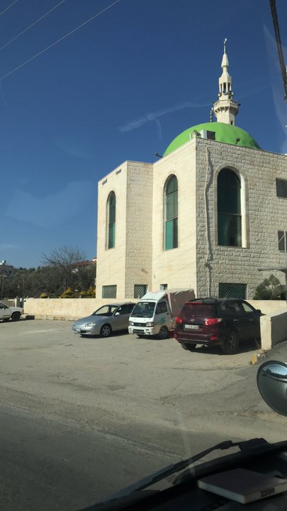 مشاركاتي في أنت الراصد