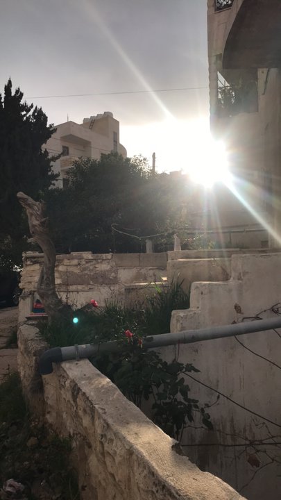 مشاركاتي في أنت الراصد