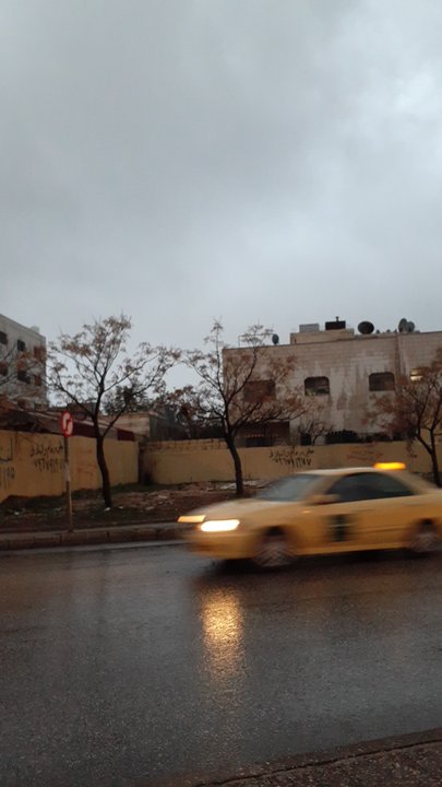 مشاركاتي في أنت الراصد