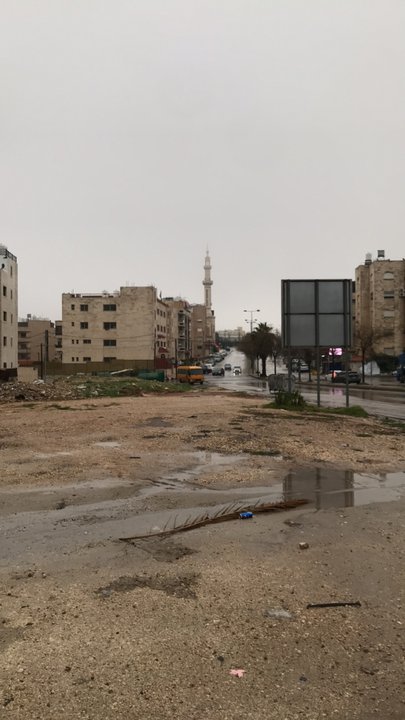 مشاركاتي في أنت الراصد