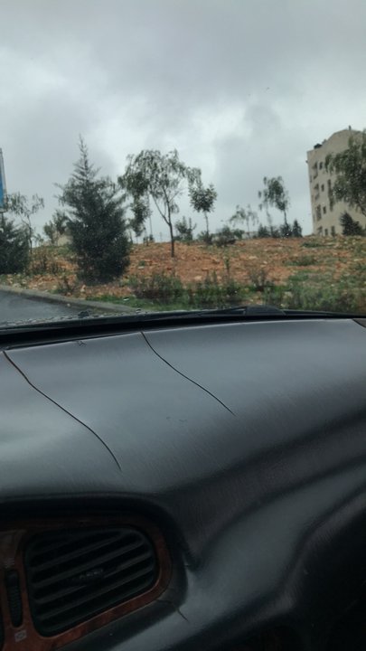 مشاركاتي في أنت الراصد