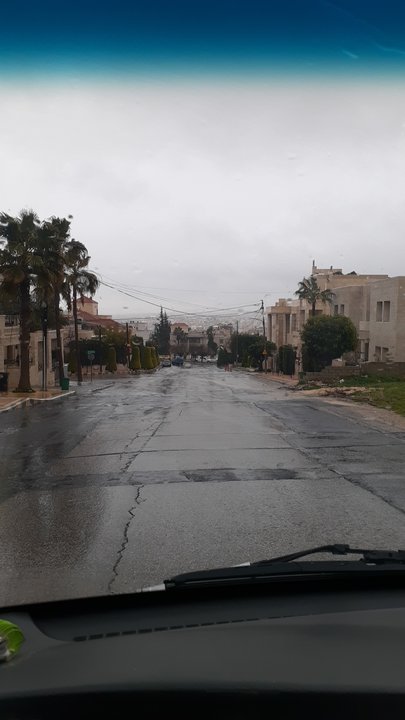 مشاركاتي في أنت الراصد