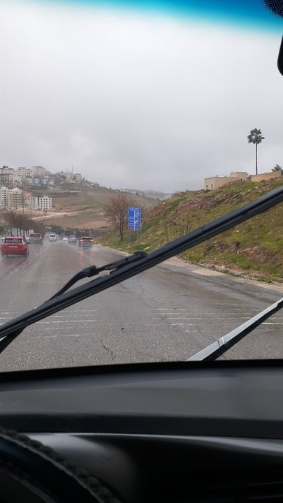 مشاركاتي في أنت الراصد