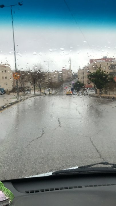 مشاركاتي في أنت الراصد