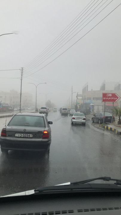 مشاركاتي في أنت الراصد