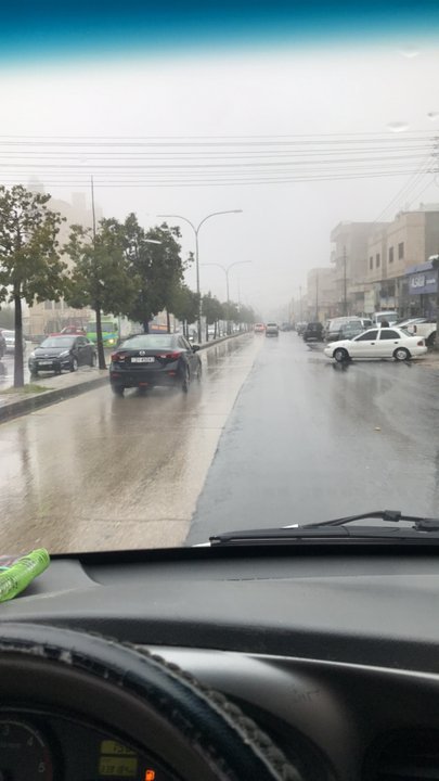 مشاركاتي في أنت الراصد