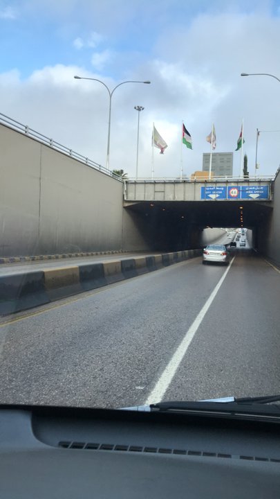 مشاركاتي في أنت الراصد