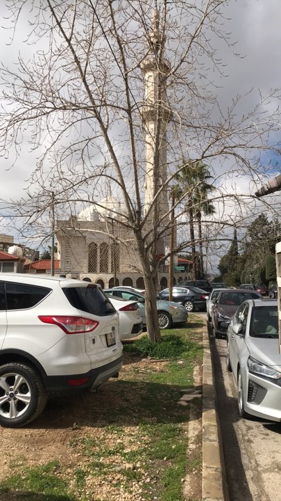 مشاركاتي في أنت الراصد