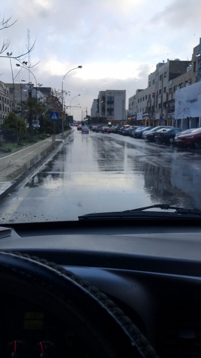 مشاركاتي في أنت الراصد