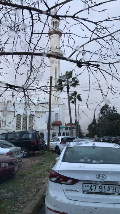 مشاركاتي في أنت الراصد