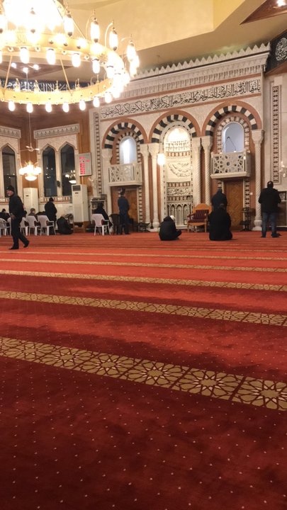 مشاركاتي في أنت الراصد