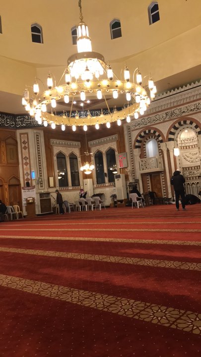 مشاركاتي في أنت الراصد