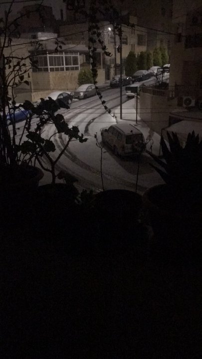 مشاركاتي في أنت الراصد