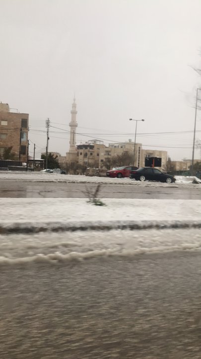 مشاركاتي في أنت الراصد