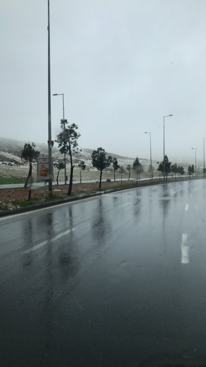 مشاركاتي في أنت الراصد