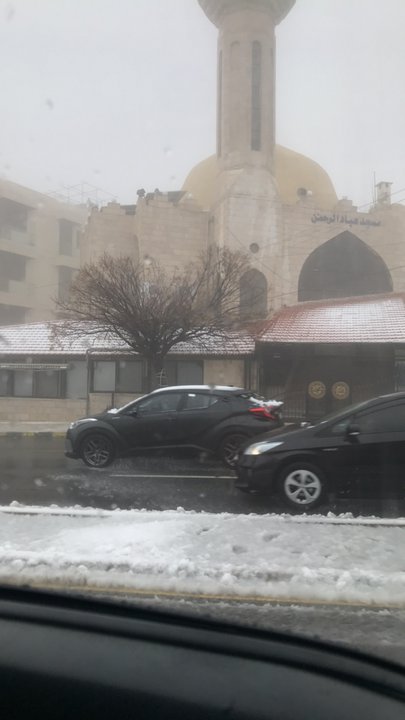 مشاركاتي في أنت الراصد