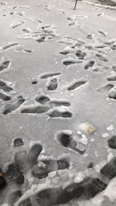 مشاركاتي في أنت الراصد