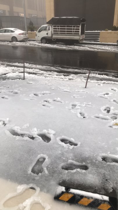 مشاركاتي في أنت الراصد