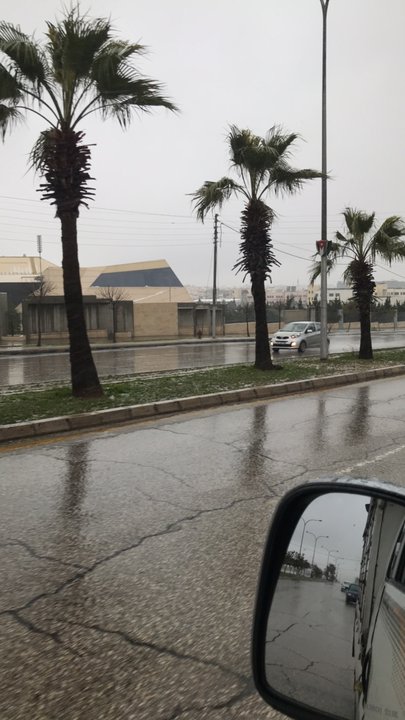 مشاركاتي في أنت الراصد