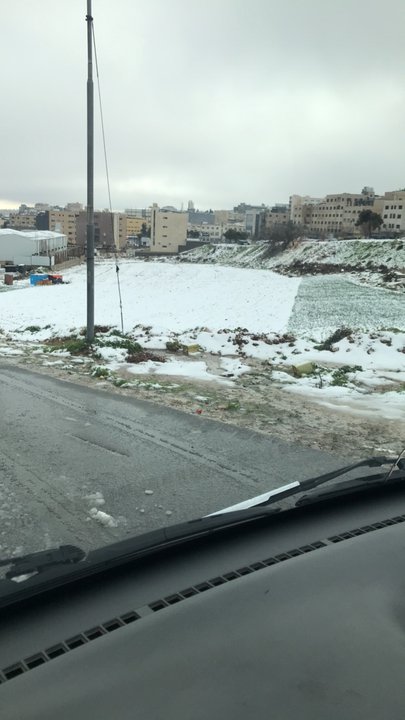 مشاركاتي في أنت الراصد