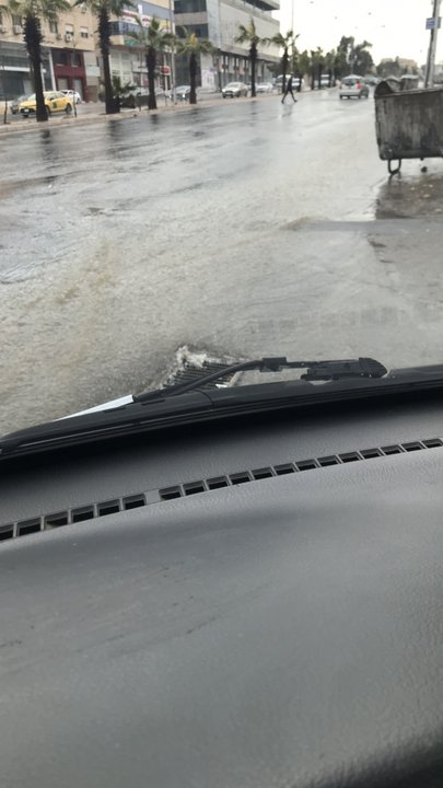 مشاركاتي في أنت الراصد