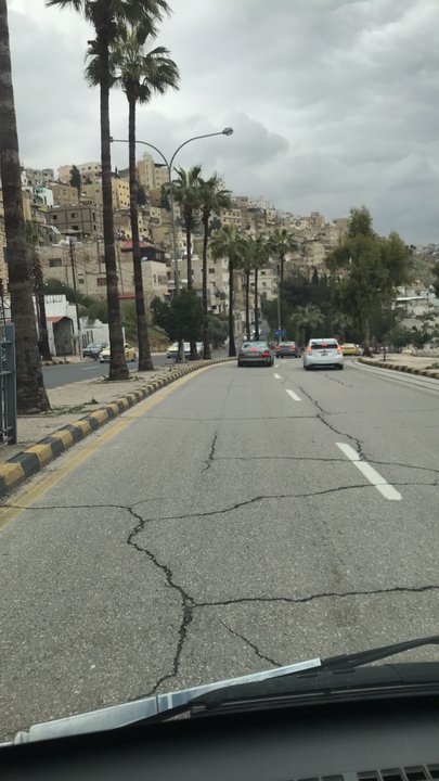 مشاركاتي في أنت الراصد