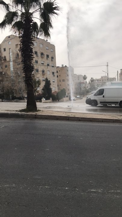 مشاركاتي في أنت الراصد