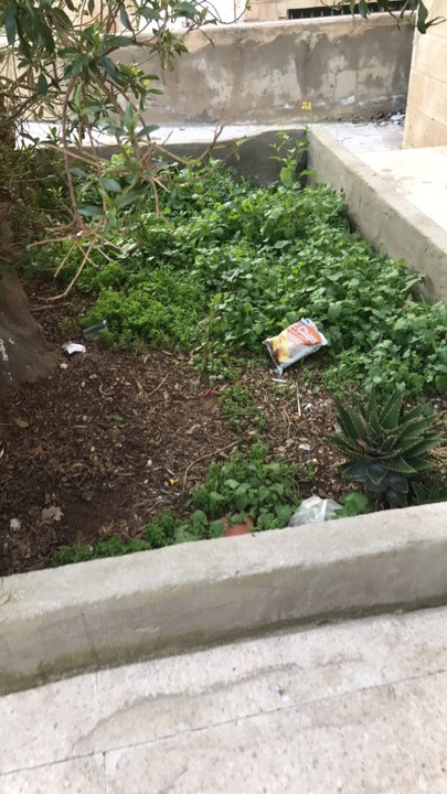 مشاركاتي في أنت الراصد