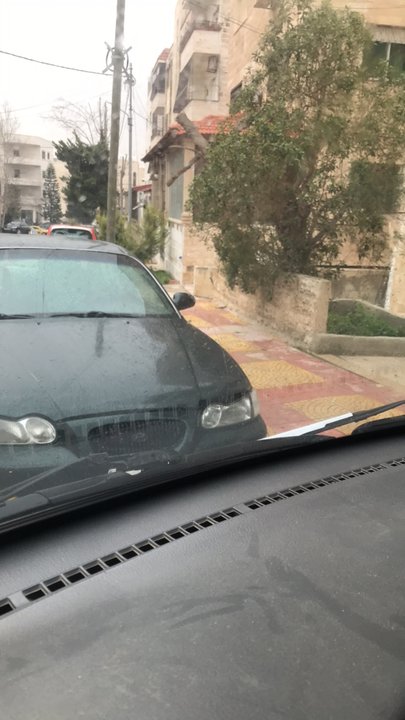 مشاركاتي في أنت الراصد