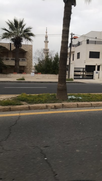 مشاركاتي في أنت الراصد