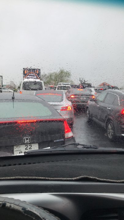 مشاركاتي في أنت الراصد