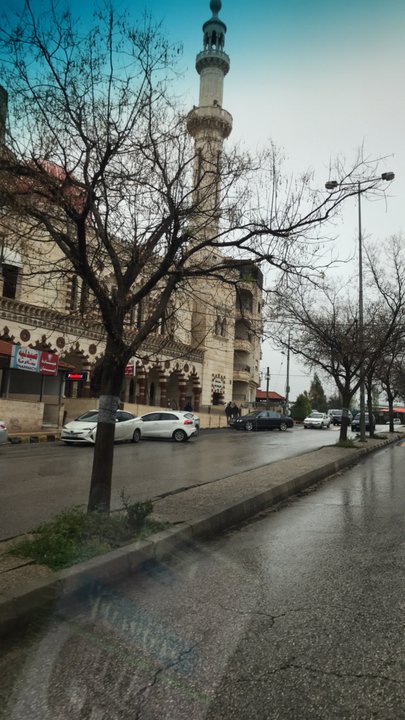 مشاركاتي في أنت الراصد