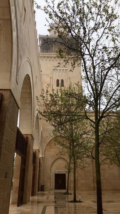 مشاركاتي في أنت الراصد