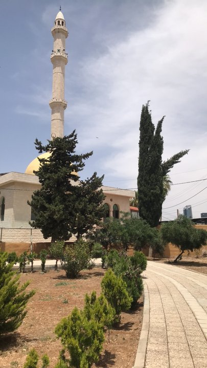 مشاركاتي في أنت الراصد