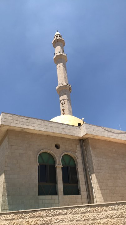 مشاركاتي في أنت الراصد