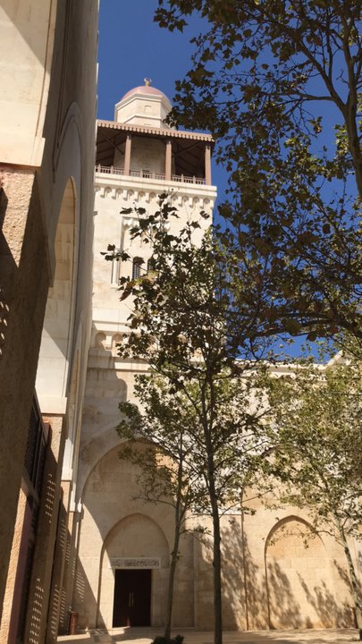 مشاركاتي في أنت الراصد