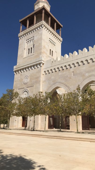 مشاركاتي في أنت الراصد