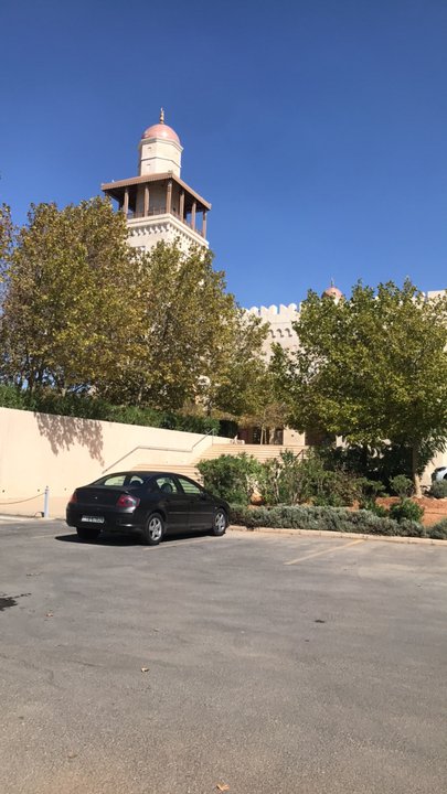 مشاركاتي في أنت الراصد