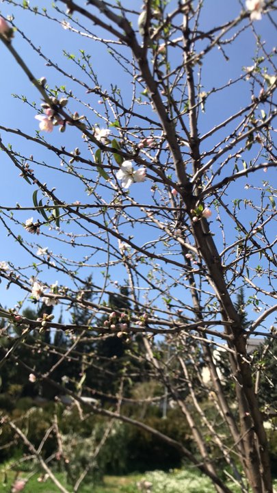 My Crowdsourcing Posts