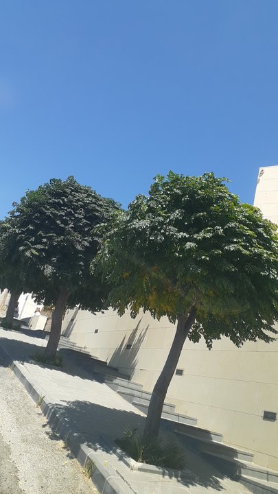 My Crowdsourcing Posts