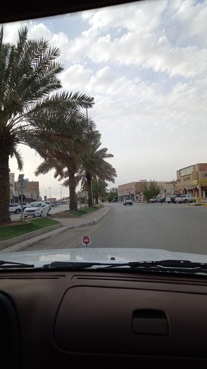 مشاركاتي في أنت الراصد